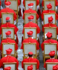 Los Cardenales que elegirán al Papa (VIS)